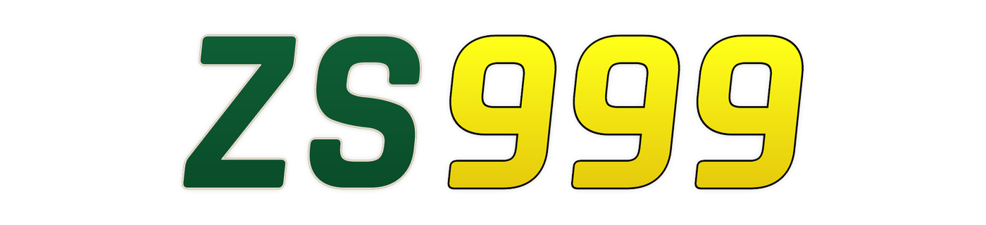 zs999 Logo